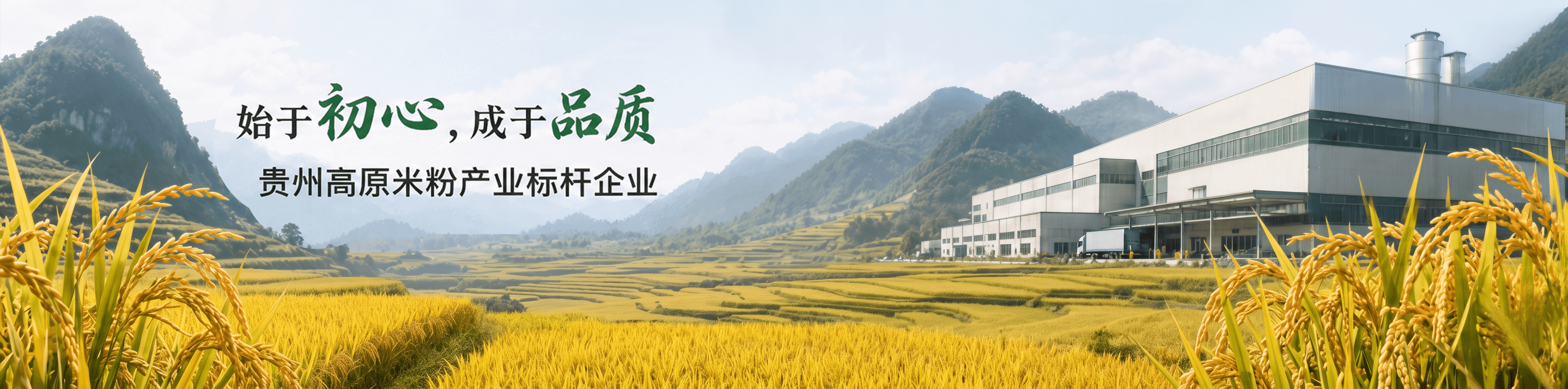 金晨高原粉 - 始于初心成于品质 - 贵州高原米粉产业标杆企业