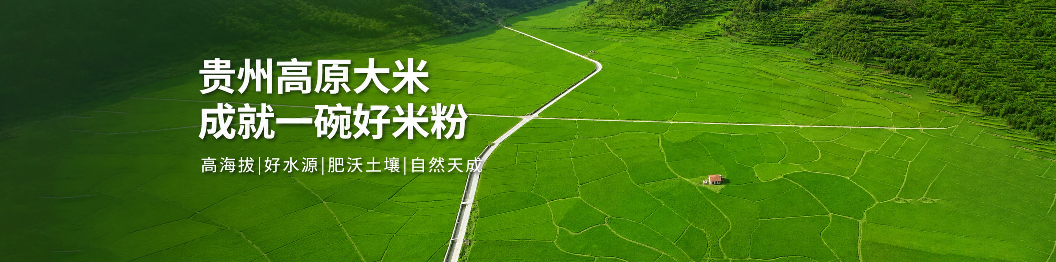 金晨高原粉 - 餐饮品牌长期信赖的 - 米粉供应链服务商