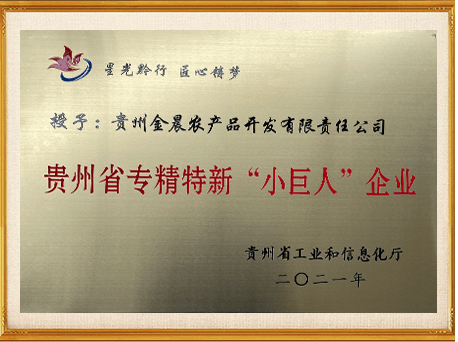 贵州省专精特新小巨人企业