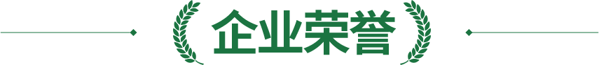 企业荣誉