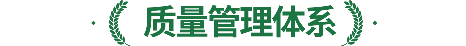 质量管理体系