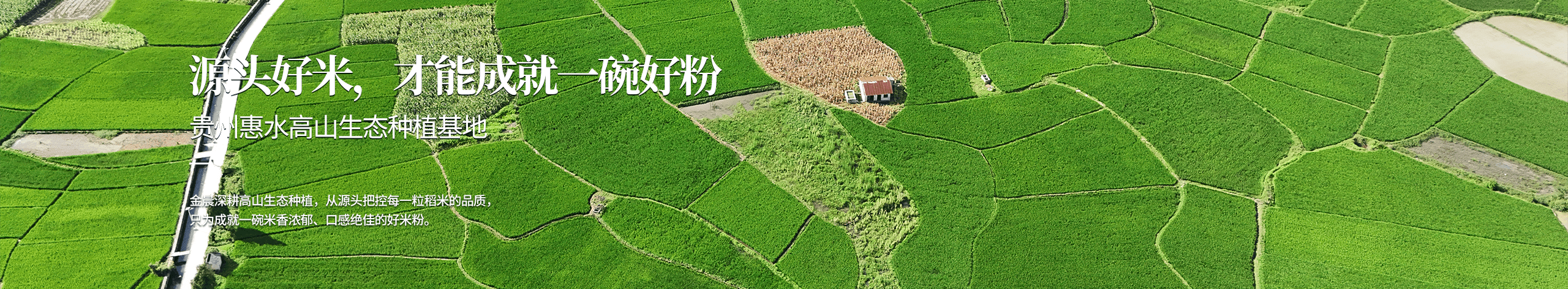 贵州惠水高山生态种植基地 - 源头好米，才能成就一碗好粉