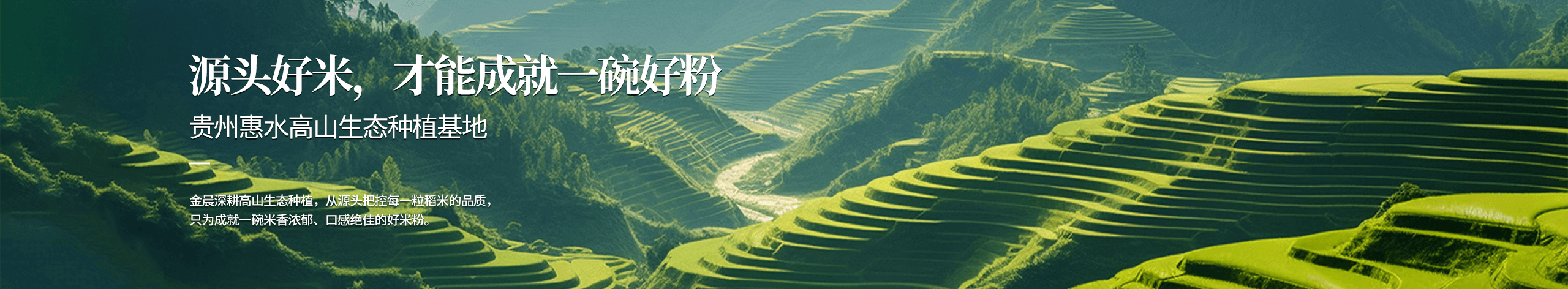 贵州惠水高山生态种植基地 - 源头好米，才能成就一碗好粉
