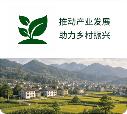 推动产业发展