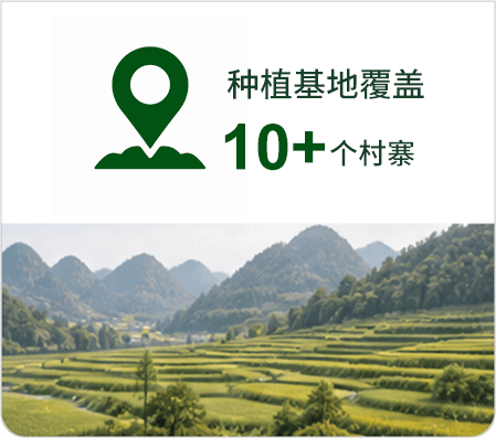 种植基地覆盖